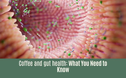 Coffee and Gut Health: What You Need to Know