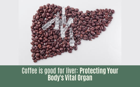 Coffee is Good for Liver Protecting Your Bodys Vital Organ