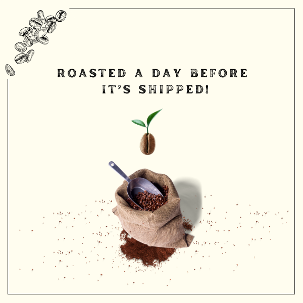 Simple Roots Coffee